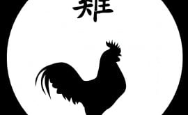 OMBRE_CHINOISE_COQ