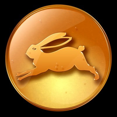 ecarte lapin