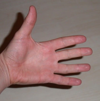 Paume_de_main