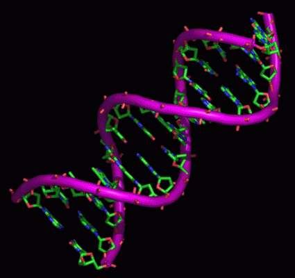 ADN_2