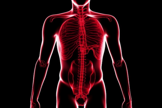 1voyance.org rever de ventre abdomen 2