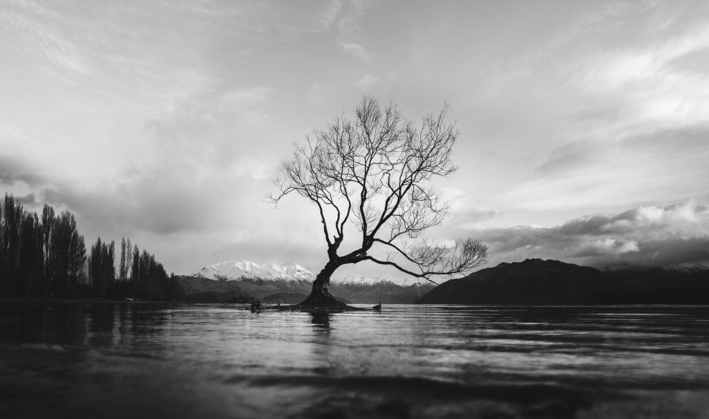 rever en noir et blanc