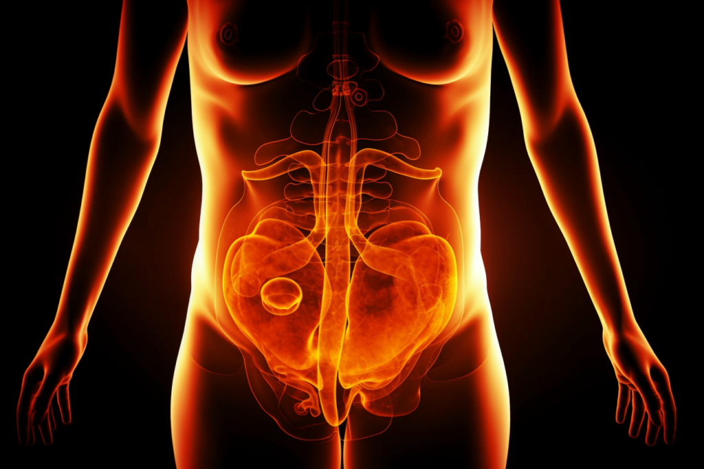 1voyance.org rever de ventre abdomen 1