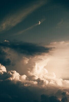 Nouvelle Lune en Verseau et Dragon de Bois : Révélations Zodiacales pour 2024