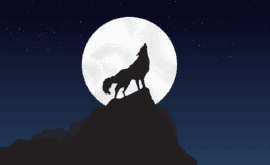 Rêver d'un Loup Gentil : Signification Spirituelle et Psychologique en 2024