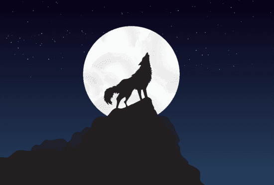 Rêver d'un Loup Gentil : Signification Spirituelle et Psychologique en 2024