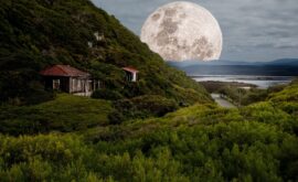 Micro Lune Rose d’avril 2025 : Révélez son puissant impact sur vos pratiques ésotériques 🌕✨