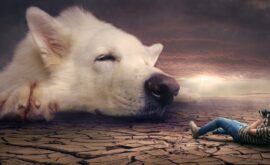 Rêve de Chien Agressif : Significations et Interprétations