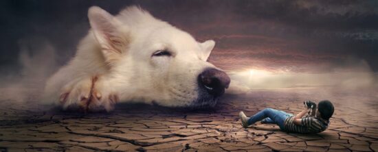 Rêve de Chien Agressif : Significations et Interprétations