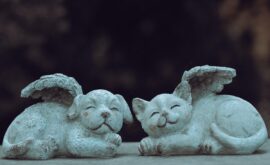 Rêver de son chat décédé : significations profondes et messages de l'au-delà 🐱🌙