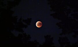 Lune de Sang du 3 mars 2026 : le rituel Tarot + Astro (et un spiritisme prudent) pour traverser un portail karmique sans vous perdre